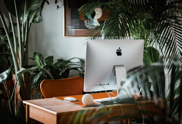 Meja kerja dengan rak terbuka dan tempat untuk tanaman hias